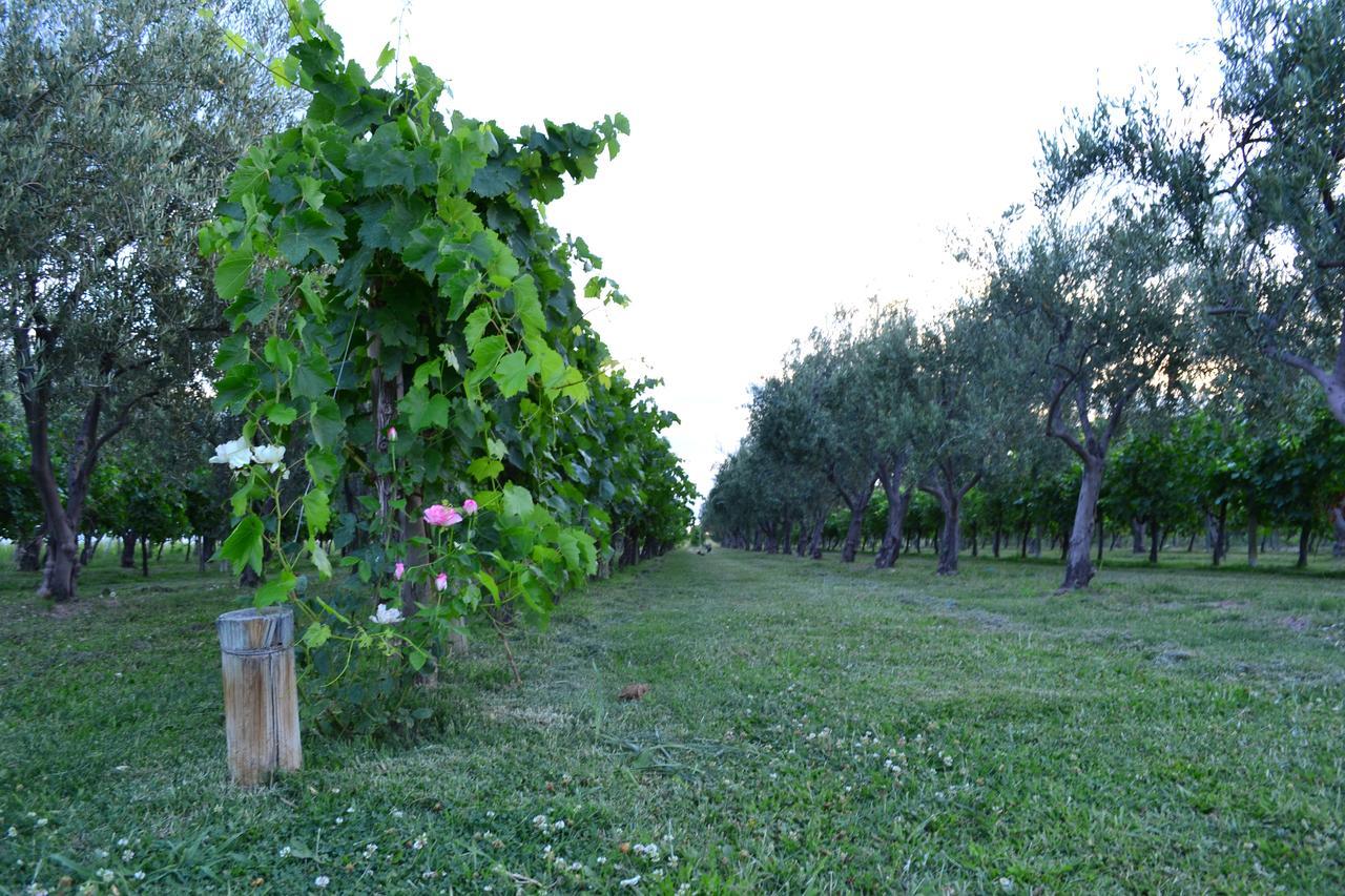 Finca Fisterra Maipu  Exterior photo