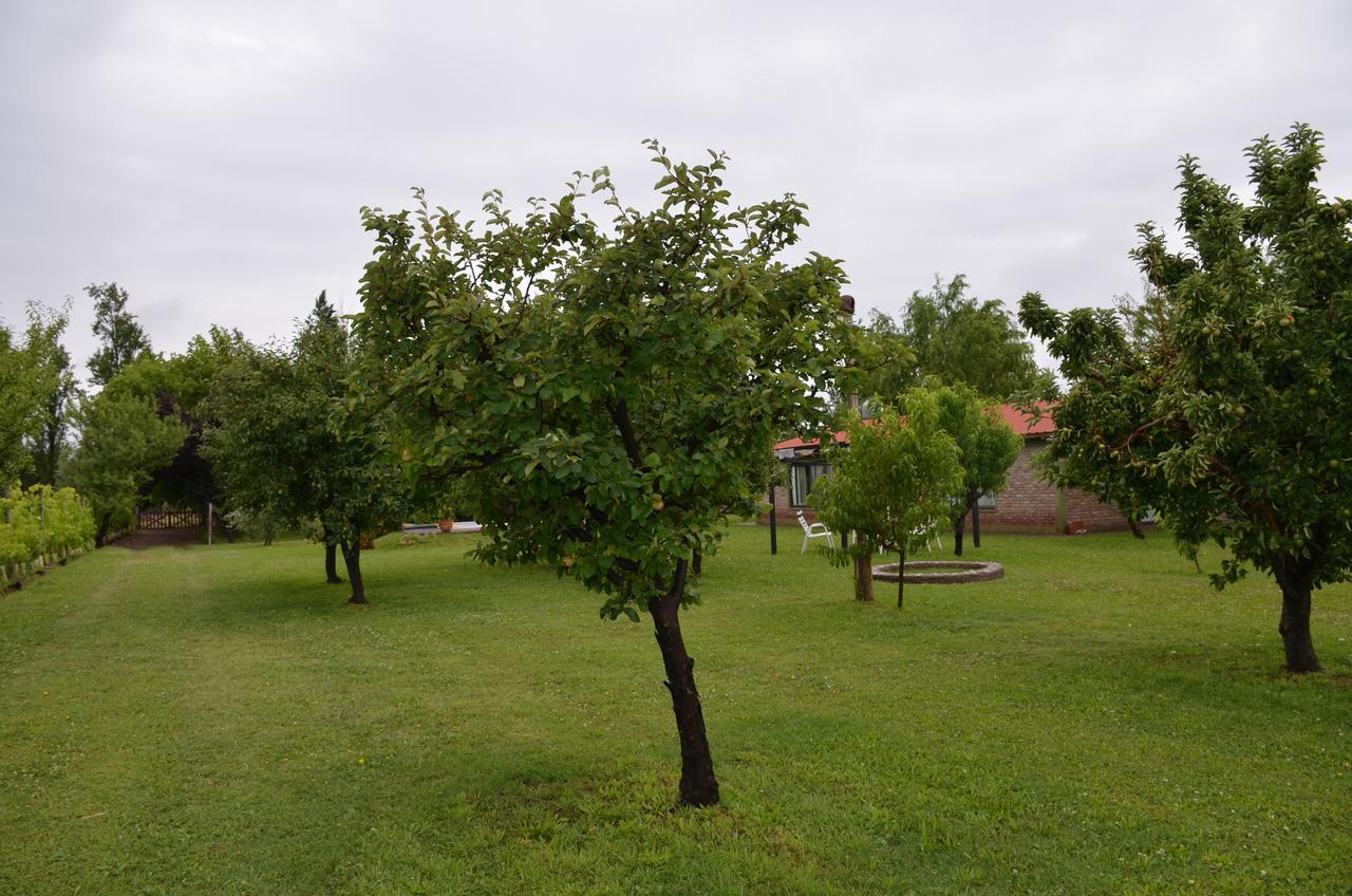 Finca Fisterra Maipu  Exterior photo