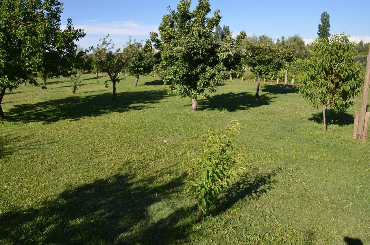 Finca Fisterra Maipu  Exterior photo