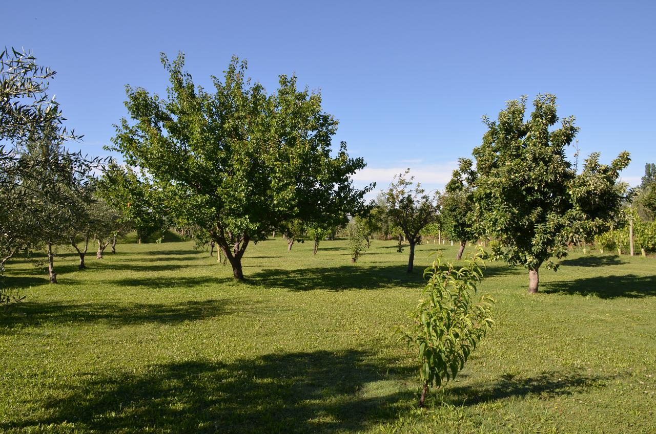 Finca Fisterra Maipu  Exterior photo