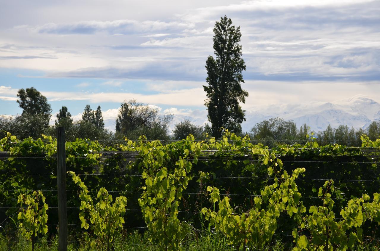 Finca Fisterra Maipu  Exterior photo