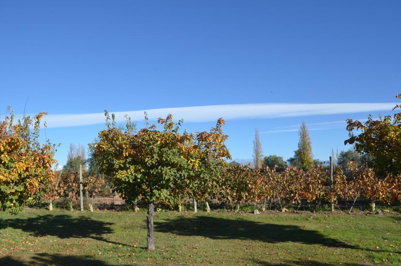 Finca Fisterra Maipu  Exterior photo