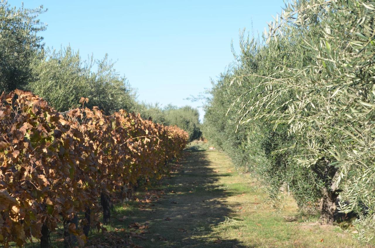 Finca Fisterra Maipu  Exterior photo