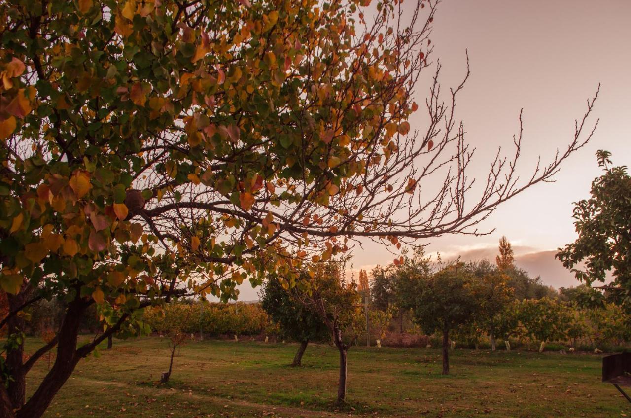 Finca Fisterra Maipu  Exterior photo